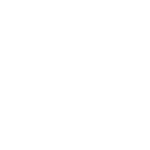 icon white 12
